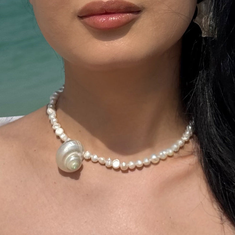 SEASHELL